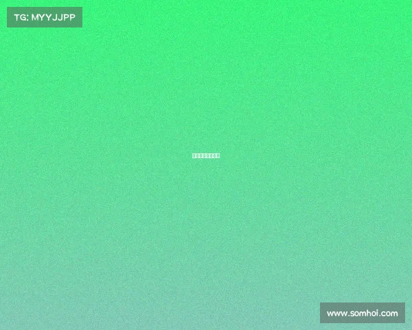 男网谁的冠军最多